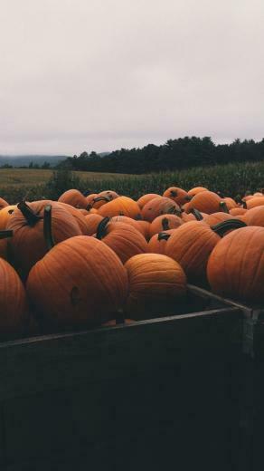 Image By Kaycie Beckwith On Fall Winter Wallpaper iPhone