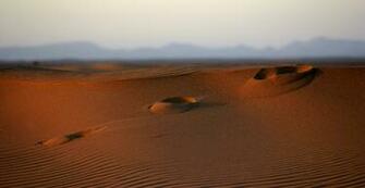 High Definition Image Of Widescreen Wallpaper Photo Macro Desert