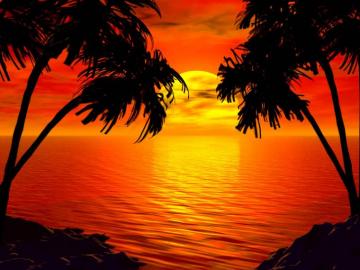 N2n And The Invasion Of Tropical House Premiere Your Edm