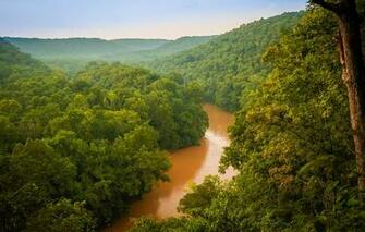 Wallpaper Greens Forest Trees River Haze Usa Mammoth Cave