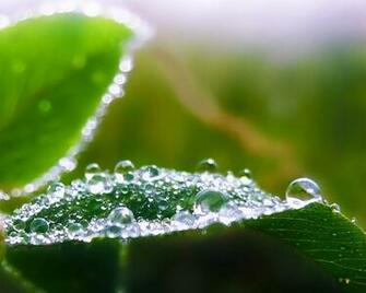 iPhone Wallpaper Fresh Morning HD