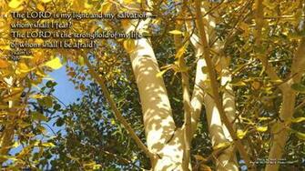Desktop With Bible Verses Fall Colors Mountains And Country