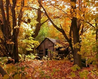 Wallpaper Autumn Desktop