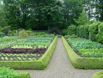 Beautiful Vegetable Gardens Babes HD Wallpaper