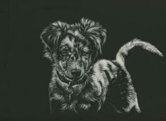 Image Dogs Black And White Animals Painting Art Background