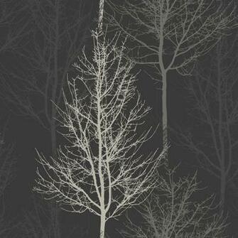 Bowland Features Wintry Black And Silver Trees On A Dark Background It