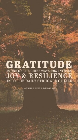 Wednesday Wallpaper Gratitude Brings Joy And Resilience Jacob