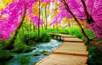 Wallpaper Trees Landscape Nature Waterfall The Bridge Image