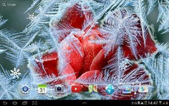 Winter Flowers Live Wallpaper Android Apps On Google Play