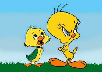 Tweety Cartoon HD Wallpaper