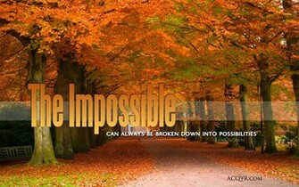 Autumn Leaves In The Park On A Fall Day Desktop Wallpaper Background