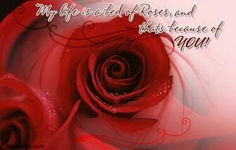 Bed Of Roses Red Rose Festival Ecards