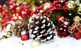 Pine Cone Wallpaper Px HDwallsource