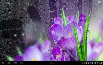 Rain Live Wallpaper Beautiful With Rainy Effect