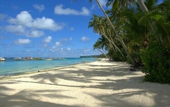 Tropical Beaches