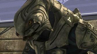 Halo Nation The Encyclopedia