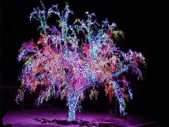 Christmas Lights Wallpaper Ing Gallery