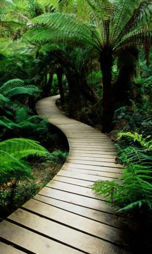 Green Bridge Lenovo Mobile Wallpaper Cell Phone Screensavers