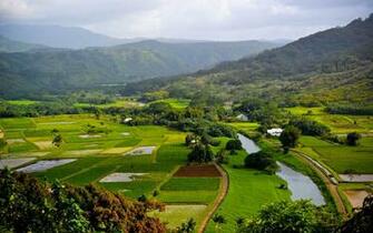 Clovisso Wallpaper Gallery Hanalei River Valley