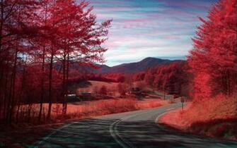Red Nature Wallpaper