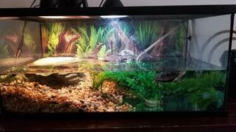 My Current Tank Setup Is There Any Way To Get This Sloped Look