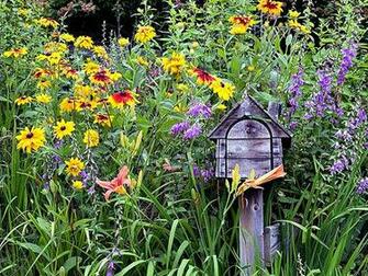 Spring In Texas Hill Country
