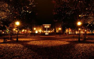 Wallpaper Night Autumn Lights Park Sweden Fall Foliage