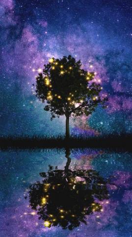 Space Tree Silhouette iPhone Wallpaper Flower