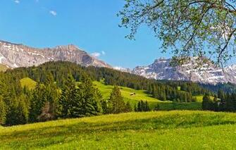 Screensavers Wallpaper Landscapes Android