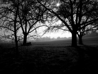 Magnificent Dark Wallpaper Background For Desktop