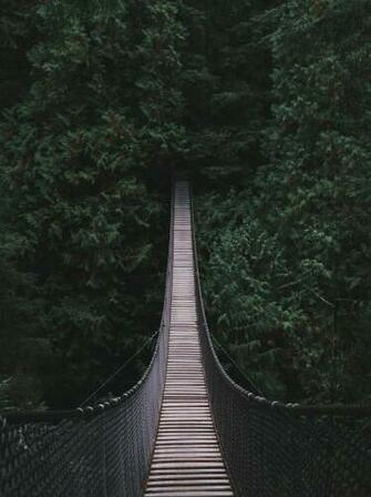 Bridge Pictures Image