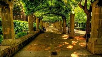 Beautiful And Looking So In This Picture Plants Are Loaded