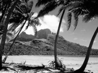 Black And White Wallpaper Beach Landscape HD