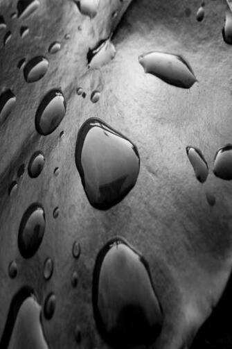 iPhone Wallpaper 9to5HDwallpaper Gallery