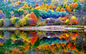 Beautiful Autumn Scenery Wallpaper