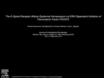 The Opioid Receptor Affects Epidermal Homeostasis Via Erk