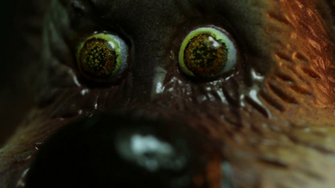 A Somewhat Unsettling Closeup Of Dog Or Bear Figurine Melting