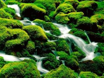 Rivers And Creeks Wallpaper X