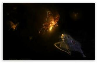 Firefly Wallpaper