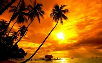Tropical Sunset On The Dock HD Wallpaper Database