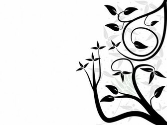 Black Background HD And White