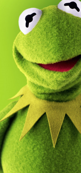 Kermit The Frog HD Wallpaper On