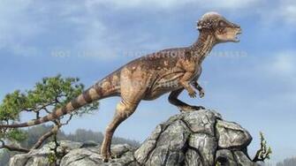 Pachycephalosaurus Sky Tree Dinosaur Rocks