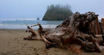 Wallpaper Beach Near La Push Washington Sea