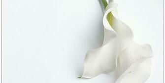 White Background Cool Background For Your Site