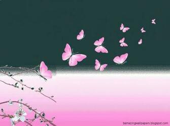Pink Butterfly Background