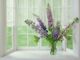 Saturday Morning Wallpaper Enjoy For