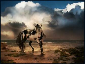 Wild Horse Desktop Background Animal Bwalles