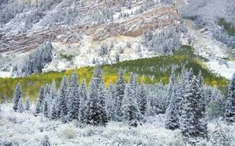 Sight Peak Bells Maroon Winter Mountain Side Usa Forest