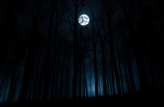 Dark Forest With Moon Wallpaper